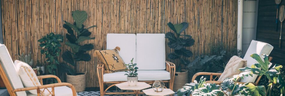 Von der Natur inspirierte Ideen