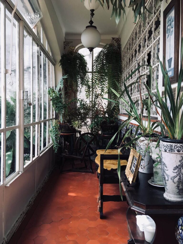 biophile gestaltung in einer innen veranda