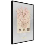 poster mysterious tree